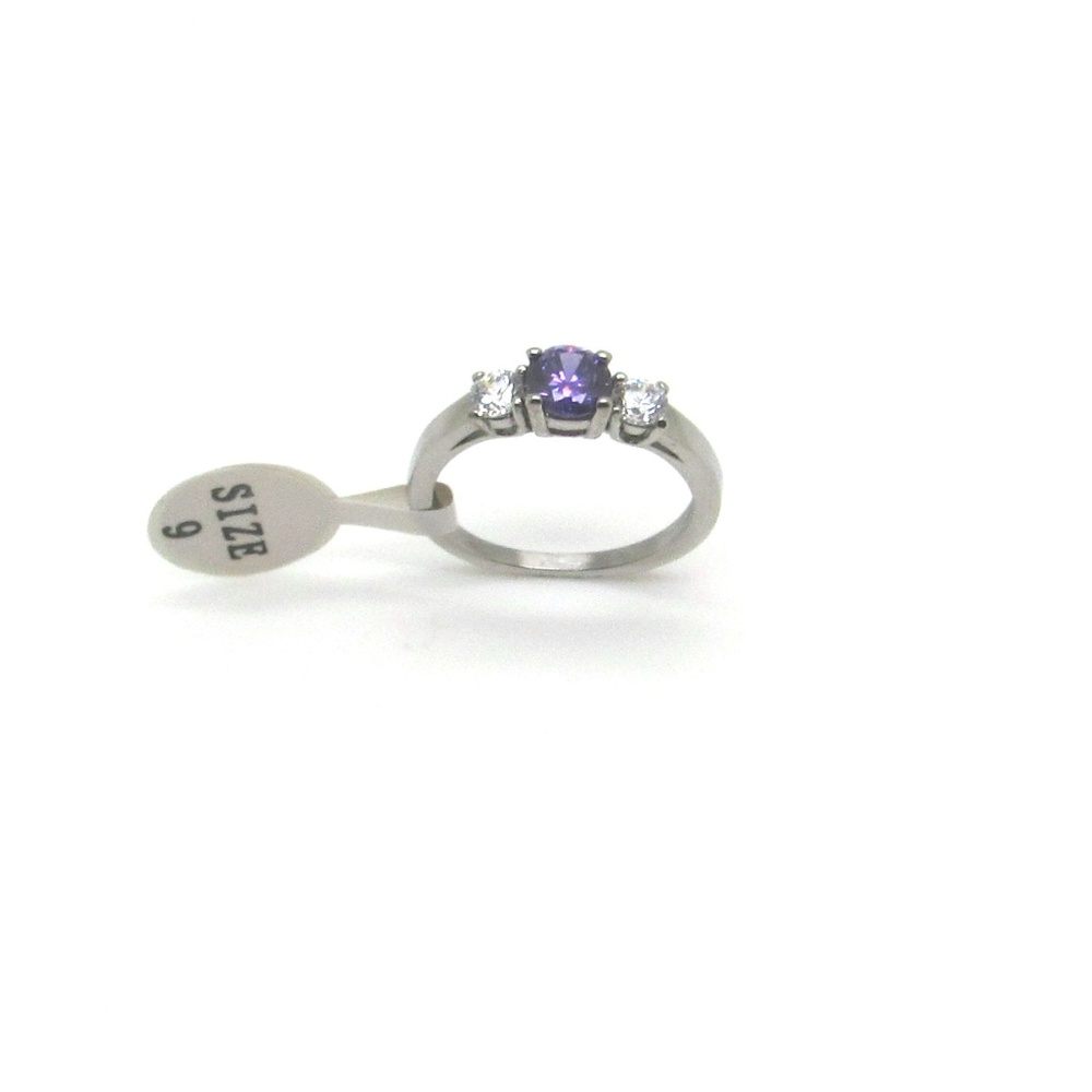 NEW Stainless Steel February - Purple Ring
